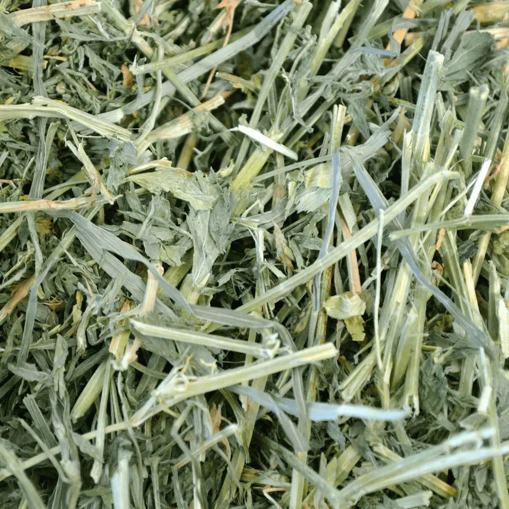 ALFALFA HAY FOR SMALL PETS