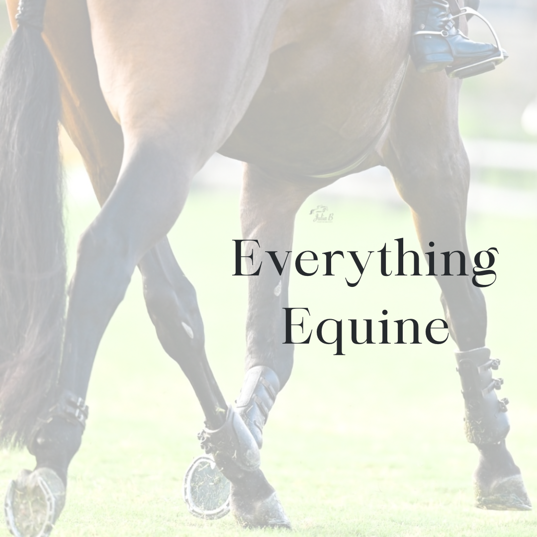 Everything Equine