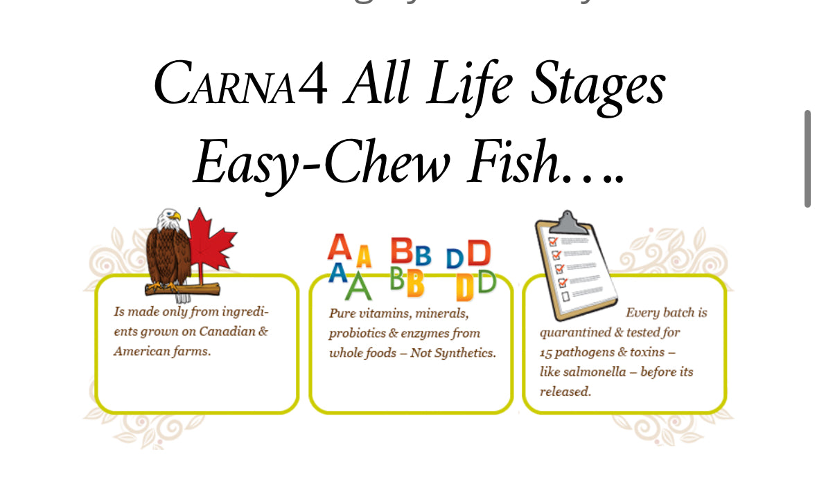 Carna4® Easy-chew Fish Formula Dog Food