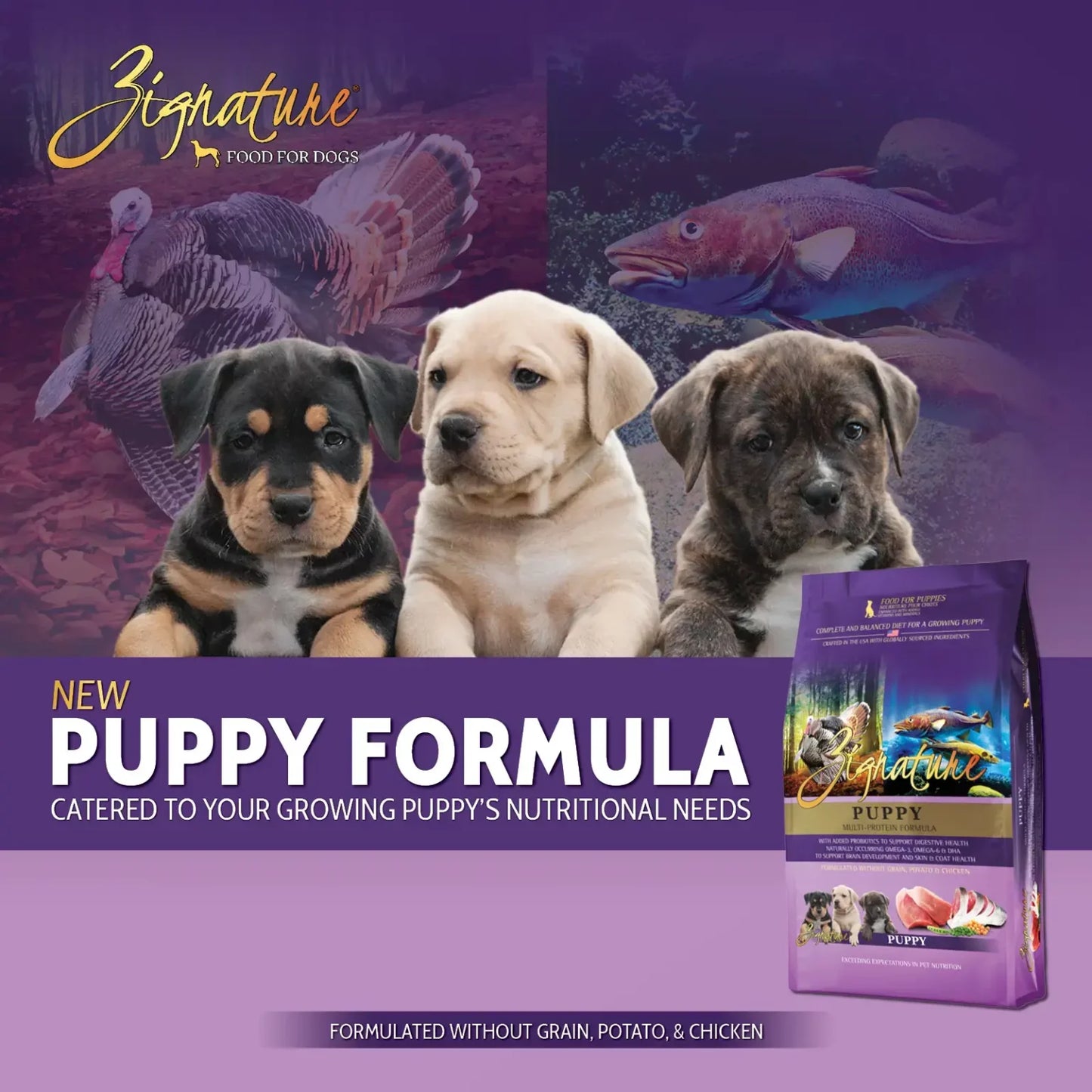 ZIGNATURE PUPPY FORMULA DOG FOOD